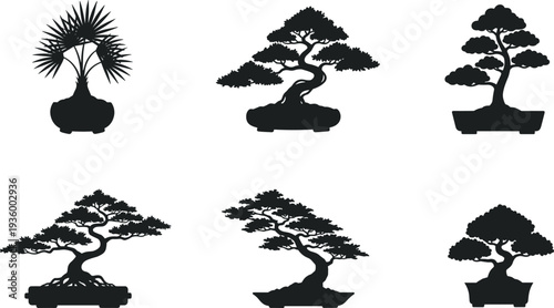 Bonsai tree silhouette collection in decorative pots isolated on white background, Japanese miniature plant vector illustration set for garden design