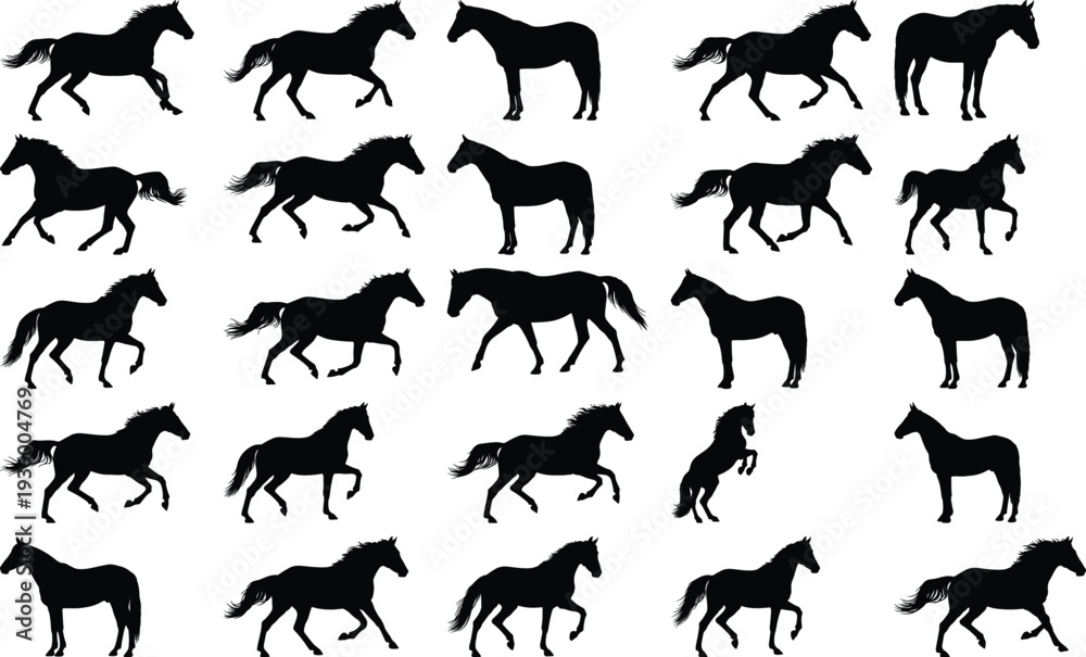 Fototapeta premium Collection of black horse silhouettes in various dynamic poses, showcasing different gaits and actions on a white background.