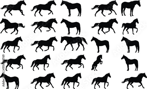 Collection of black horse silhouettes in various dynamic poses, showcasing different gaits and actions on a white background.