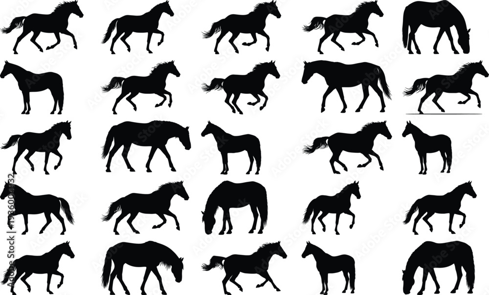 Fototapeta premium Diverse set of black horse silhouettes illustrating a range of motion and poses, including grazing and running, against white.