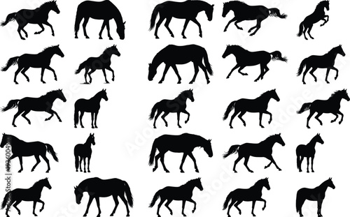 Variety of horse silhouettes illustrating different gaits and stances, from standing still to powerful gallops, suitable for animal art.