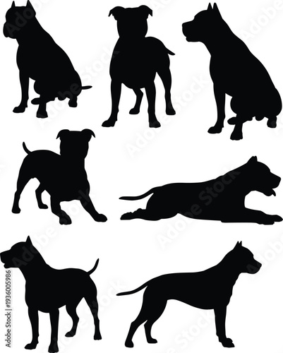 Black Pit Bull Terrier Silhouette Set, Isolated Staffordshire Bull Terrier Vector Collection in Sitting Standing and Lying Poses for Pet Breeding and Guard Dog Graphics