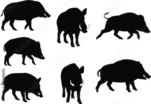 Black Wild Boar Silhouette Vector Set, Isolated Feral Pig and Warthog Collection with Tusks in Various Running and Standing Poses