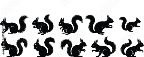 Black Squirrel Silhouette Vector Set, Isolated Wild Forest Animal Collection with Bushy Tail Chipmunk Graphics for Nature Illustration and Wildlife Design Projects