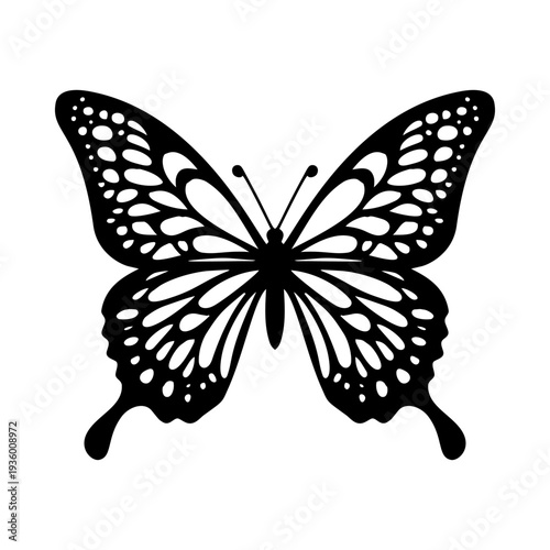 Intricate papercut butterfly design featuring delicate wing details, ideal as a cut file for laser cutting, Cricut projects, and paper crafts.