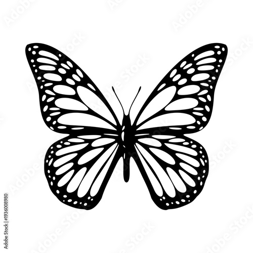 Elegant butterfly cut template suitable for scrapbooking, invitations, decals, and layered papercraft creations.