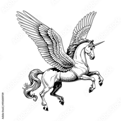 majestic pegasus unicorn horse wings flying fantasy myth vintage engraving vector illustration.
