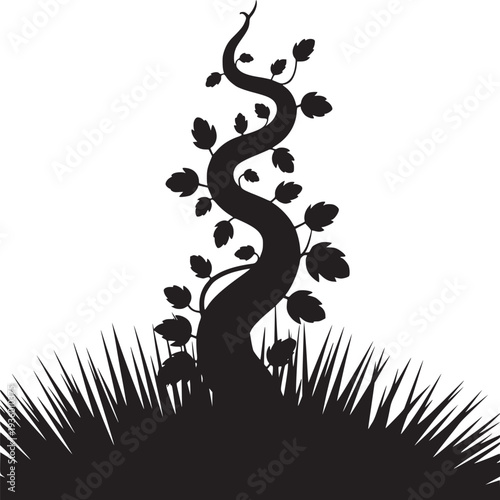 A black silhouette of a winding vine with leaves growing out of grass against a white background