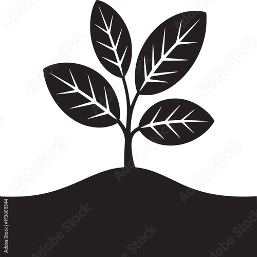 Monochrome illustration of a small plant with leaves growing from the earth against a white background