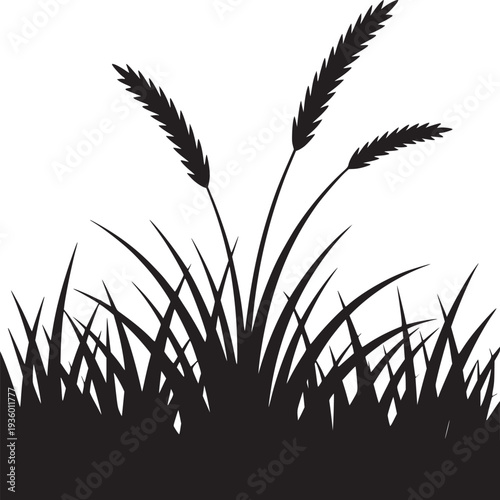 Silhouette of grass and wheat stalks against a white background in a simple graphic style image
