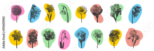 Spring flowers collection with halftone pattern. botanical illustrations on white background for modern design use