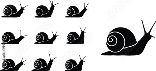 Snail silhouette collection featuring different crawling poses isolated on white background, detailed gastropod mollusk vector illustration set for nature design