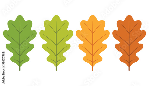 Seasonal specific oak leaves icon set for autumn nature symbol, fall season decoration, forestry, botanical plant, and natural eco concept vector