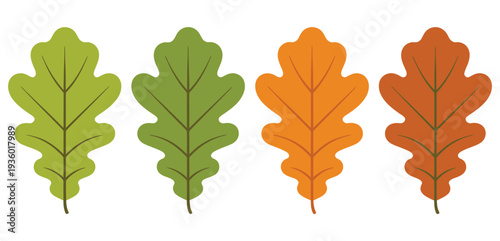 Seasonal oak leaf icon collection representing autumn environment, tree foliage symbol, nature conservation theme