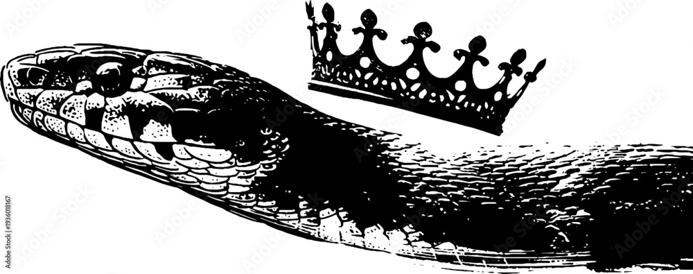 Obraz premium Serpent with crown high contrast ink art - black and white design for tattoos or decor
