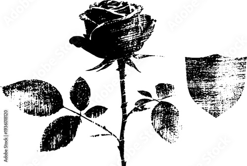 Vintage rose and shield emblem ink sketch for retro design