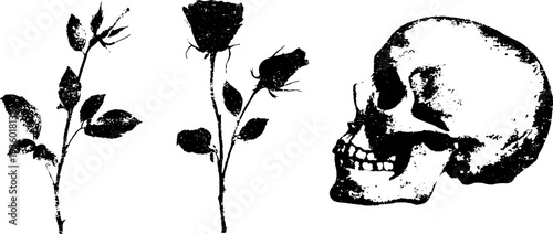 Black and white ink illustration of rose and skull - high contrast design for prints and posters