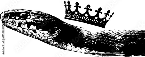 Serpent with crown high contrast ink art - black and white design for tattoos or decor