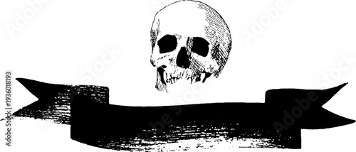 Black and white skull with banner ink illustration for retro design