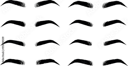 A collection of 15 various eyebrow shapes and designs on a white background
