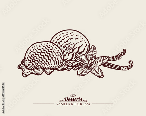 Two Balls of Vanilla Ice Cream. White flower and brown vanilla pods. Line art Illustration, sketch style.