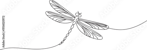 Dragonfly one continuous line illustration. Hand drawn doodle sketch of insect. one line Icon drawing