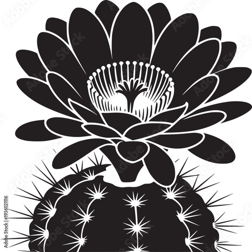 A black and white graphic illustration of a cactus with a large blooming flower on a white background