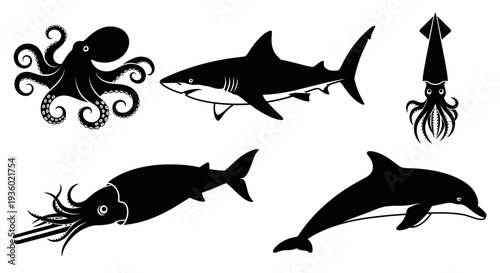 Marine Animals Silhouettes Collection: Octopus, Shark, Squid, Cuttlefish, Dolphin Vector Set