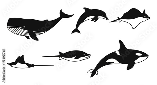 Marine Animals Silhouette Collection: Whale, Dolphin, Orca, Manta Ray Vector Illustration
