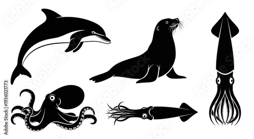 Marine Animals Silhouettes Collection: Dolphin, Seal, Octopus, and Squid