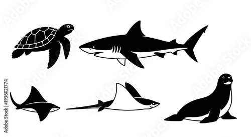 Marine Animals Silhouettes Collection: Turtle, Shark, Ray, and Seal Icons