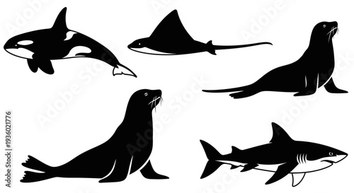 Marine Animals Silhouettes Collection: Orca, Shark, Seal, and Manta Ray Icons