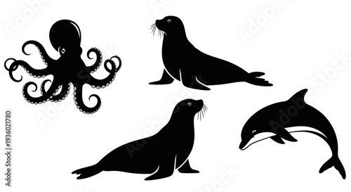 Marine Animals Silhouettes: Octopus, Seals, and Dolphin Vector Illustration