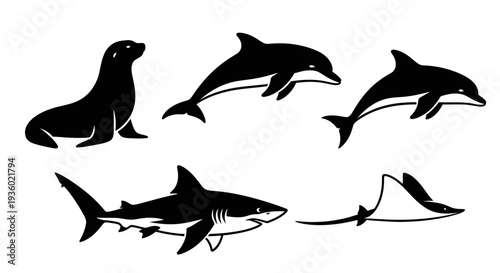 Marine Animals Silhouettes Set: Dolphin, Shark, Sea Lion, and Stingray