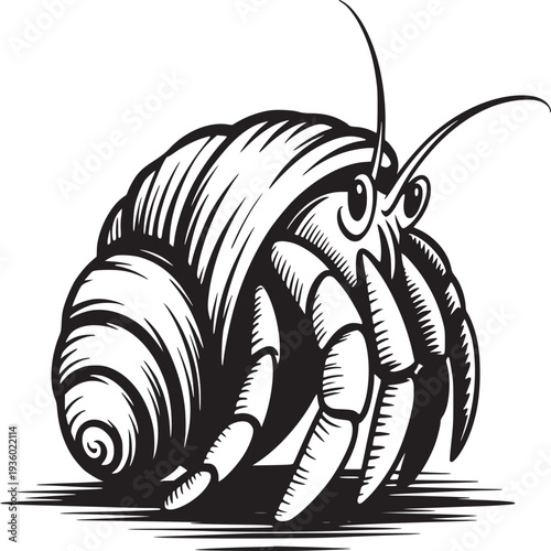 A detailed black and white illustration of a hermit crab with a shell and long antennae design