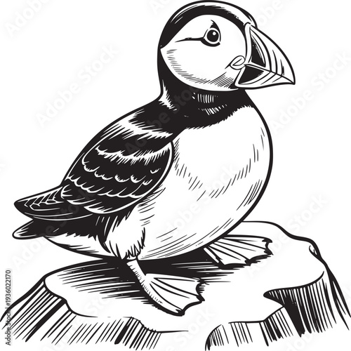 A black and white line drawing of a puffin perched on a rock looking to the right side of the image