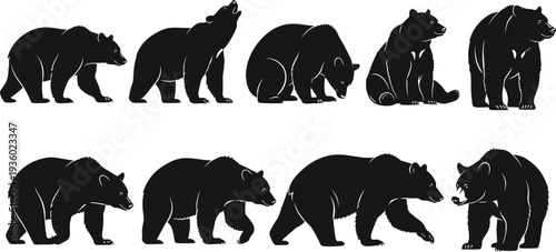 Bear silhouette collection vector set, wild grizzly and black bear poses illustration, isolated wildlife animal clipart on white background