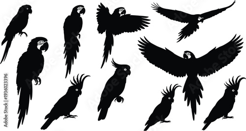 Black parrot silhouettes collection featuring macaw and cockatoo bird profiles in flying and perched poses isolated on white background vector illustration