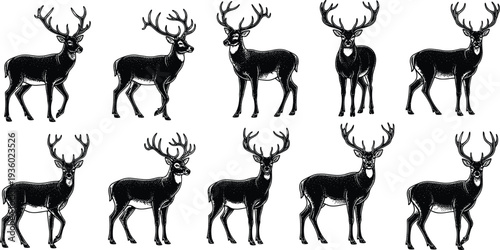Deer stag silhouette collection vector set, antlered buck woodland wildlife illustration, vintage engraved black isolated clipart on white background