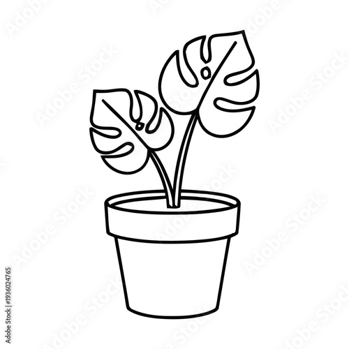 Outline Illustration of Monstera Plant with Leaves in a Pot, Tropical Houseplant