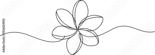 One continuous line drawing of Plumeria flower. Frangipani blossom with petals for floral tattoo in simple linear style. one line Icon drawing