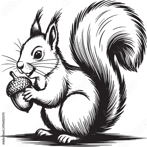 A charming black and white sketch of a squirrel holding an acorn with a fluffy tail and whiskers