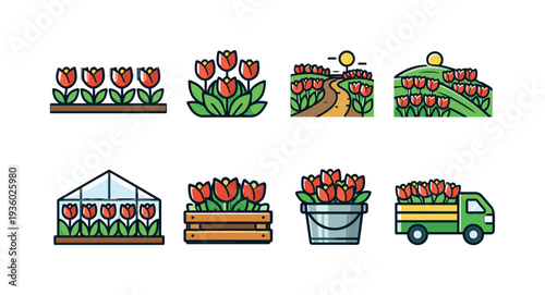 Tulip farming and delivery icons showing cultivation, harvesting, and transport