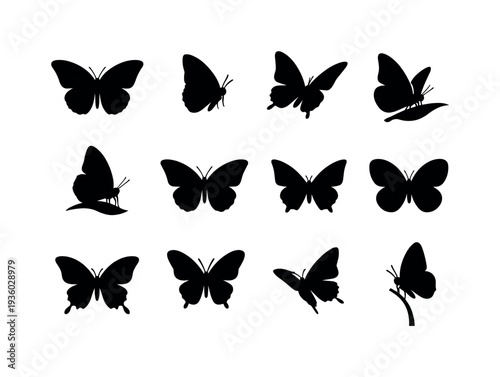 Collection of black butterfly silhouettes in various poses and angles