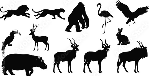 Wild animal silhouettes, lion cheetah gorilla, flamingo eagle toucan, deer rabbit hippopotamus, wildlife vector illustration, nature design art, animal identification concept