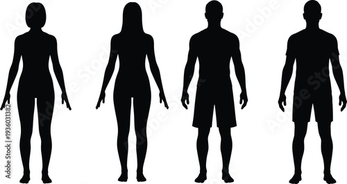 Human body silhouettes, male female figures, anatomy vector illustration, fitness design, fashion outline art, body shape comparison, health concept