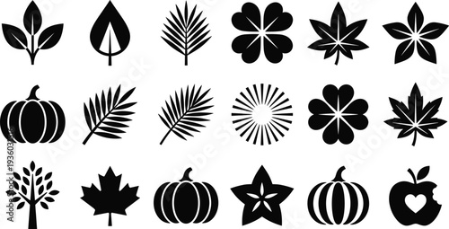 Autumn leaves, pumpkin and nature silhouette icon set, botanical and fall harvest symbols collection for seasonal design, Thanksgiving decoration, eco elements vector illustration