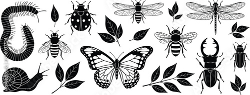 Insect silhouettes vector, butterfly dragonfly beetle, ladybug caterpillar snail, bees flying illustration, nature leaves design, biodiversity art, entomology concept