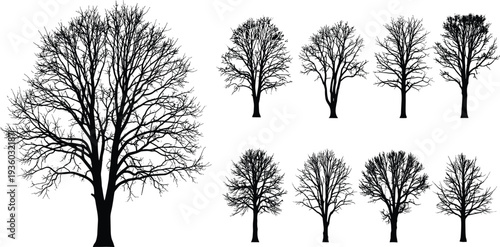 Leafless tree silhouettes, winter forest vector, barren branches illustration, seasonal nature design, botanical art concept, diverse tree forms graphics