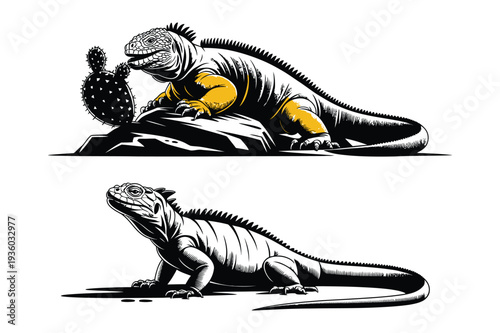 Yellow Spotted Iguana Reptile with Cactus on Rock